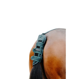 Schweifschoner Equithème Tyrex 600D