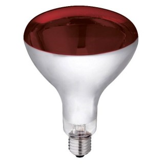 Infrarotlampe aus Glas Kerbl