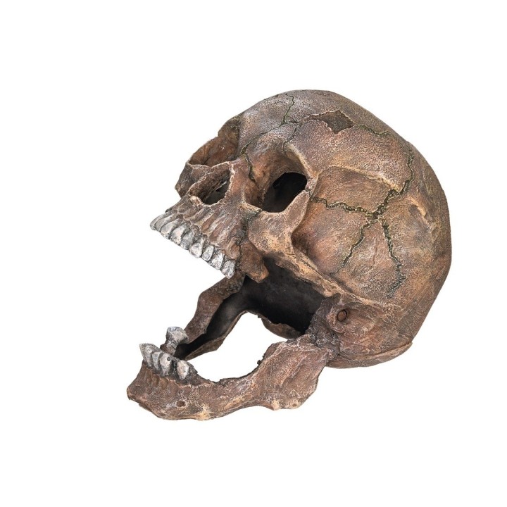 Aquarium Dekoration Schädel Nobby Pet