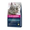 EUKANUBA Cat Adult All Breeds Top Condition Huhn &amp, Leber 2 kg