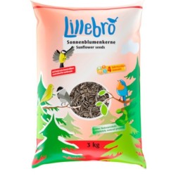 Lillebro geschälte Sonnenblumenkerne zum Sonderpreis! - 3 kg