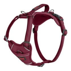 Hundegeschirr Company of Animals Burgunderrot XL 50-78 cm