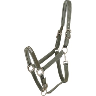 Halfter für Ponys HorseGuard Malva