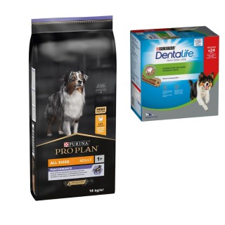 PURINA PRO PLAN Trockenfutter + passende Dentalife Snacks gratis! - 14 kg All Size Adult Performance + 24 Sticks für mittelgr