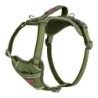 Hundegeschirr Company of Animals grün L 42-65 cm
