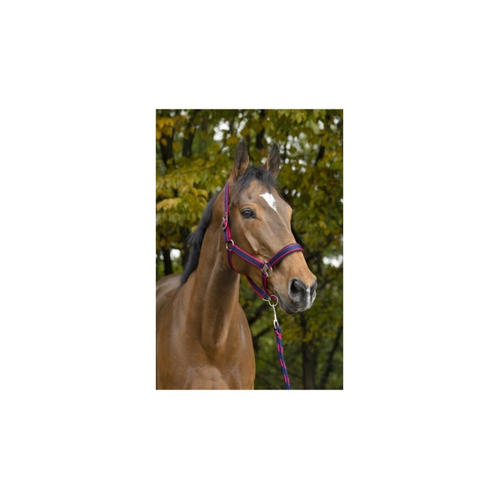 Halfter Equithème Satiné