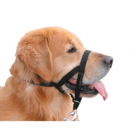Halfter für Hunde Nobby Pet Easy Leader 3