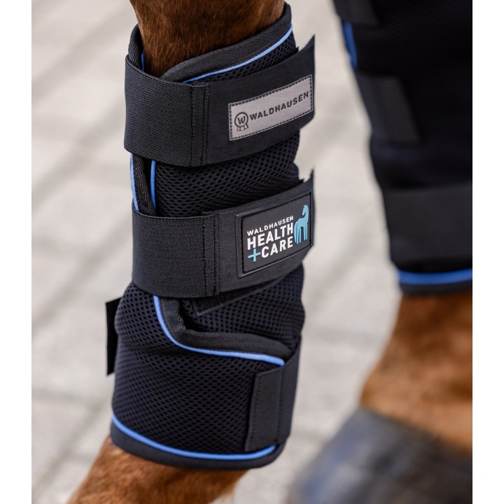 Gamaschen für Pferde Waldhausen Health + Care Ice Layer (x2)