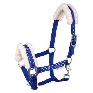 Eleganter Halfter Waldhausen