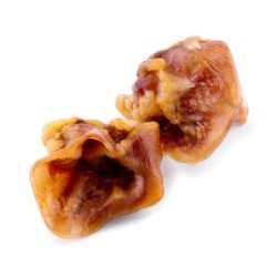 MACED Mittelohr 100g