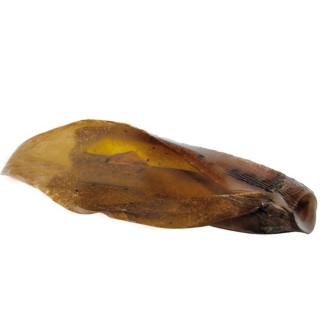 MACED Natürliches Rinderohr 1 Stk