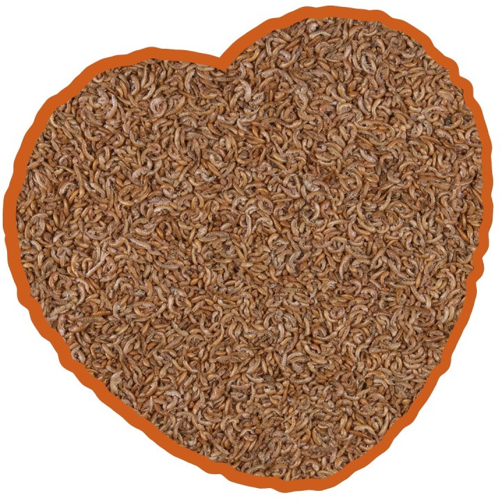 Futter für Gammarus-Schildkröten Duvoplus