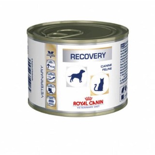 Trockenfutter für Katzen Royal Canin VHN Cat/dog Recovery (x12)
