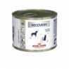 Trockenfutter für Katzen Royal Canin VHN Cat/dog Recovery (x12)