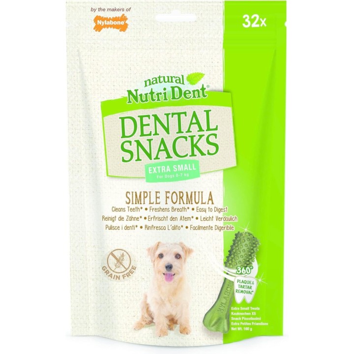 32er Pack Hundespielzeugen Nylabone Nutri Dent Mini TU