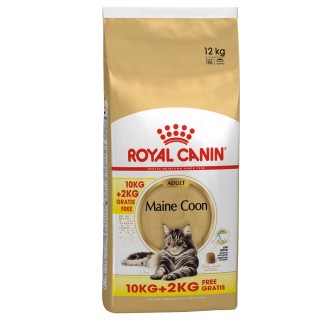 2 kg gratis! 12 kg Royal Canin im Bonusbag - Maine Coon Adult