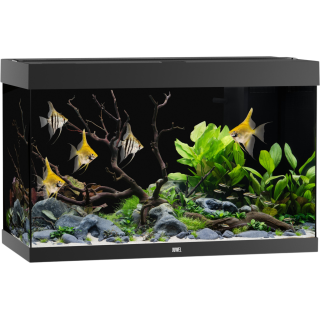 Juwel Rio 290 LED Aquarium - schwarz