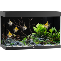 Juwel Rio 290 LED Aquarium - schwarz