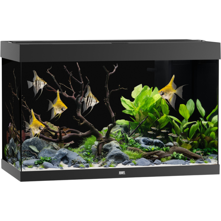 Juwel Rio 290 LED Aquarium - schwarz