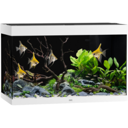 Juwel Rio 290 LED Aquarium - weiß