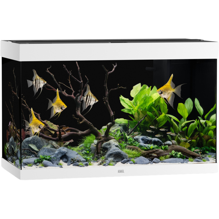 Juwel Rio 290 LED Aquarium - weiß