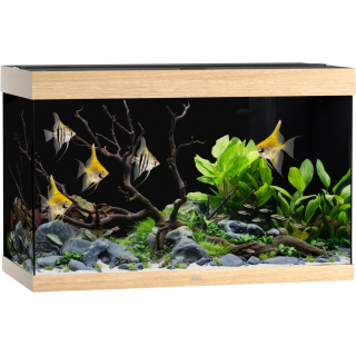Juwel Rio 290 LED Aquarium - helles Holz