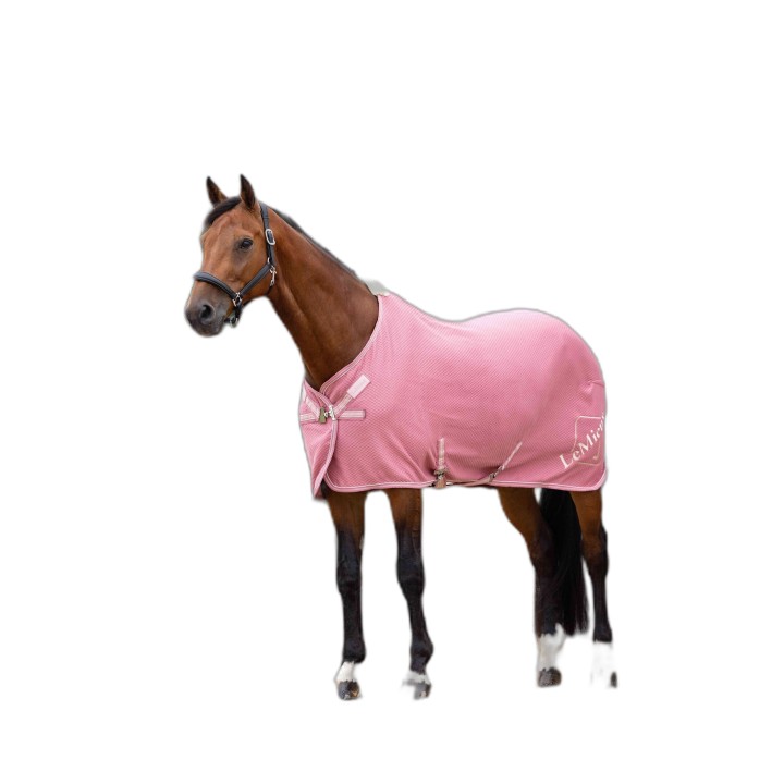 Chemise séchante pour cheval en bambou LeMieux Kudos