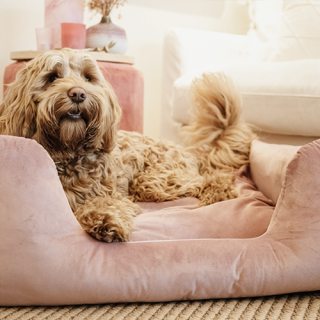 Kentucky Dogwear - Velvet Hundekorb - Altrosa - M - 80 x 60 cm