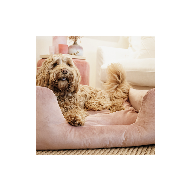 Kentucky Dogwear - Velvet Hundekorb - Altrosa - M - 80 x 60 cm