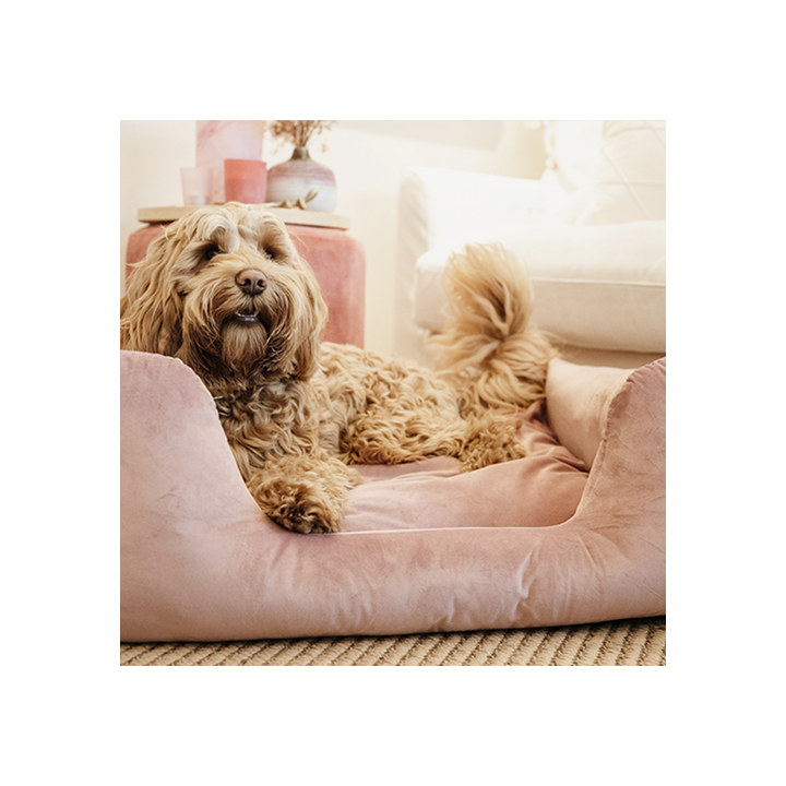 Kentucky Dogwear - Velvet Hundekorb - Altrosa - M - 80 x 60 cm