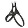 Hundegeschirr Hunter SOHO MINI Schwarz