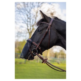 Nüsternschutz für Pferde BR Equitation