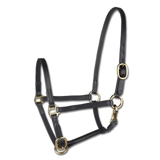 Präsentationshalfter für Mini-Shetland aus Leder Star