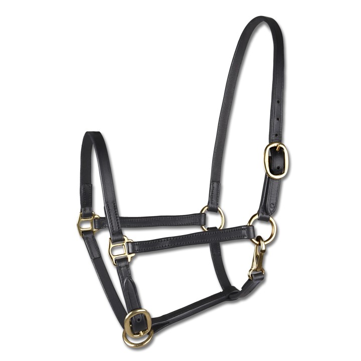 Präsentationshalfter für Mini-Shetland aus Leder Star