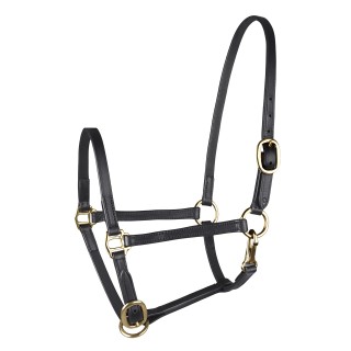 Präsentationshalfter für Shetlandponys aus Leder Star