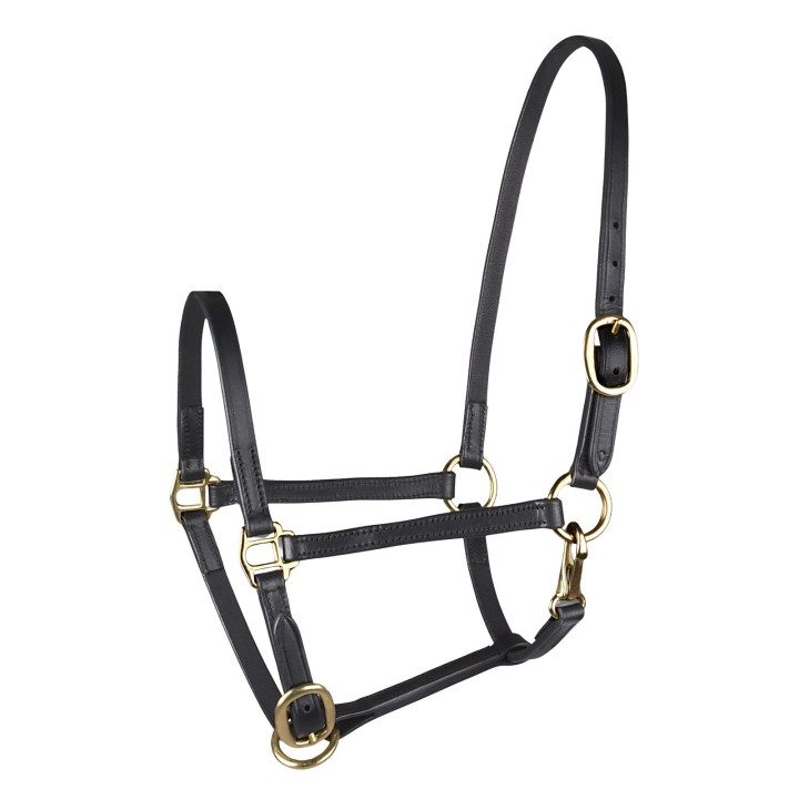 Präsentationshalfter für Shetlandponys aus Leder Star