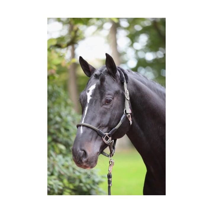 Cob-Halfter Kerbl Cordano