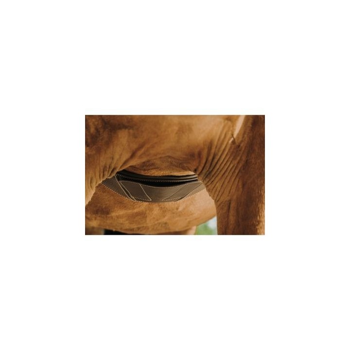Sattelgurt für Pferde Norton Magnet