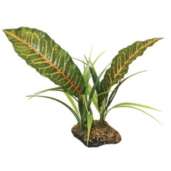 Zubehör für Aquarien Komodo Tropical Canopy