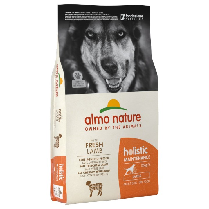 1 kg gratis! 12 kg Almo Nature Holistic Adult Trockenfutter - Lamm & Reis Large