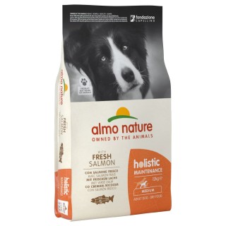 1 kg gratis! 12 kg Almo Nature Holistic Adult Trockenfutter - Lachs & Reis Medium