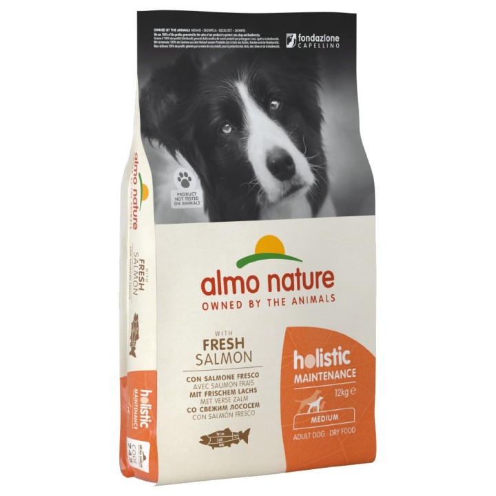 1 kg gratis! 12 kg Almo Nature Holistic Adult Trockenfutter - Lachs & Reis Medium