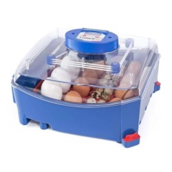 Automatische Brutmaschine 16 Eier Borotto Lumia