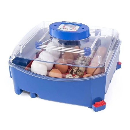 Automatische Brutmaschine 16 Eier Borotto Lumia