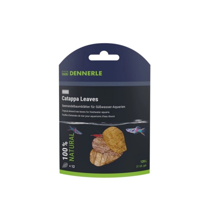 Dennerle Catappa Leaves - Seemandelbaumblätter - 10 St.