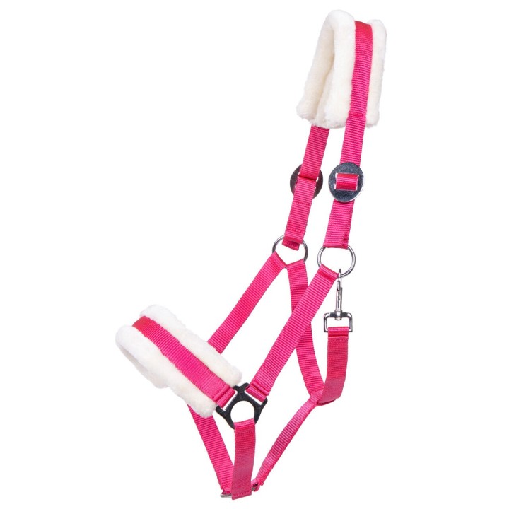 Halfter für Pferd Q-essentials Cali