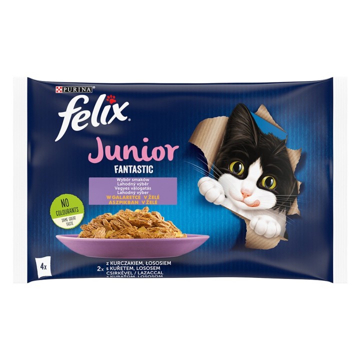 Felix Junior Fantastic Pouches 4 x 85 g - Lachs & Huhn