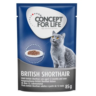 Sparpaket Concept for Life 48 x 85 g - British Shorthair Adult (Ragout-Qualität)