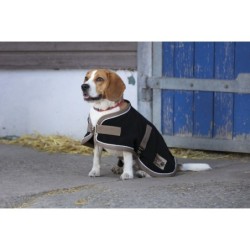 Hundedecke Diego & Louna Polyfun