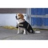 Hundedecke Diego & Louna Polyfun